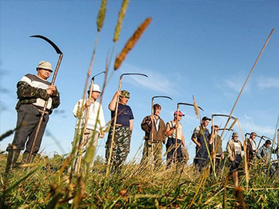 Дальневосточный гектар