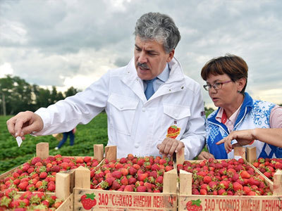 Павел Грудинин